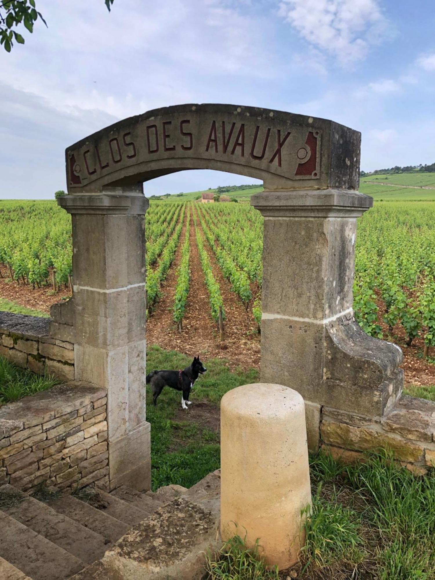 La Route Des Vins Apartment Beaune  Exterior photo